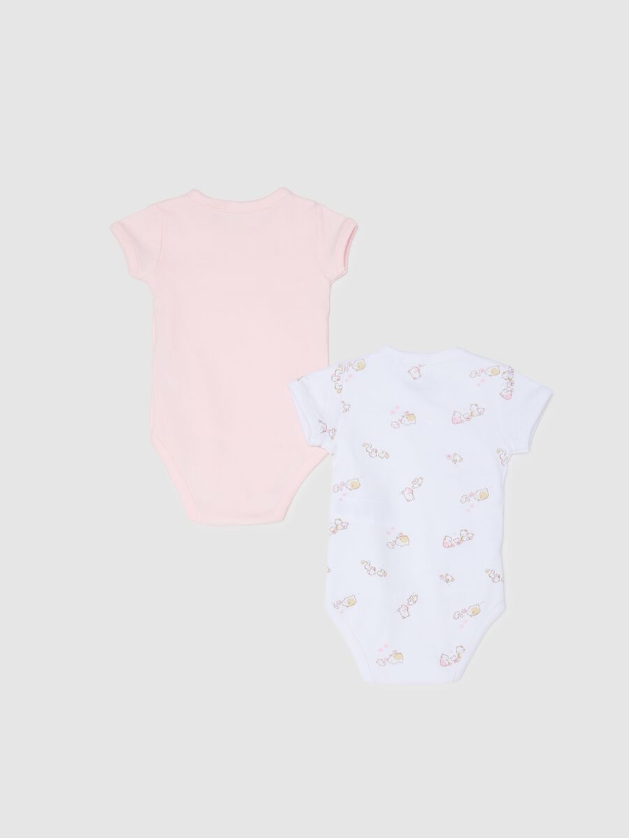 Newborn Bodysuit Twin Pack in Multicoloured Pure Cotton_1