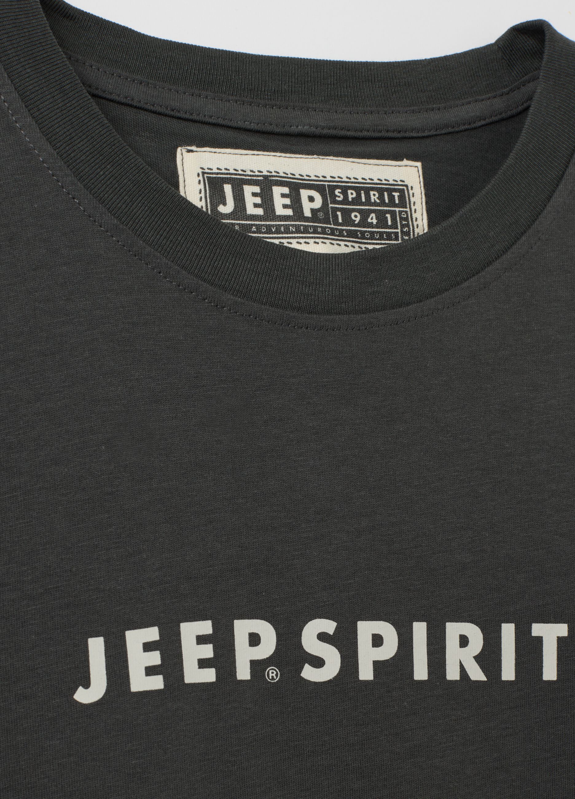 Black pure cotton regular fit t-shirt