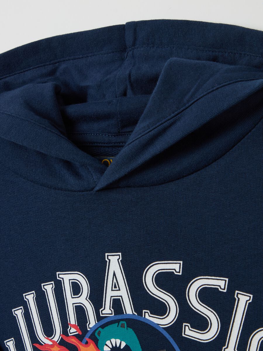 Sweatshirt with hood and "Jurassic Academy" print_2