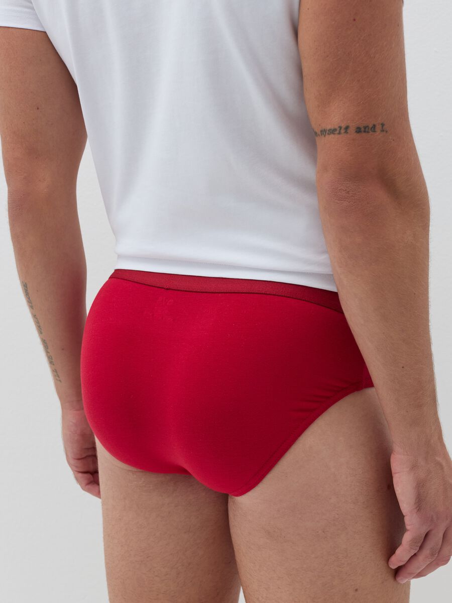 Two-pack briefs in organic cotton with tartan pattern_3