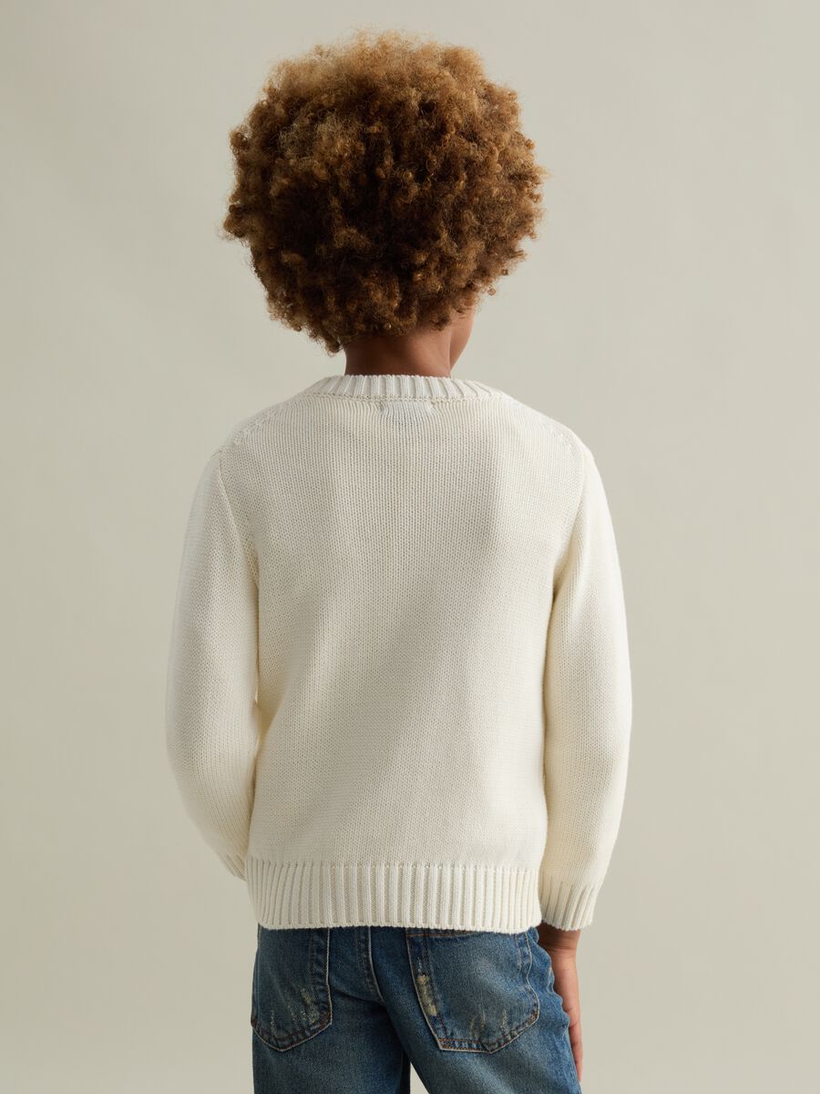 Pullover with logo design and crest embroidery_1