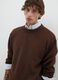 Brown pure cotton jumper regular fit_3