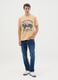Multicolour pure cotton regular fit t-shirt_0