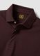 Men&rsquo;s brown long-sleeve stretch cotton polo shirt, regular fit_1