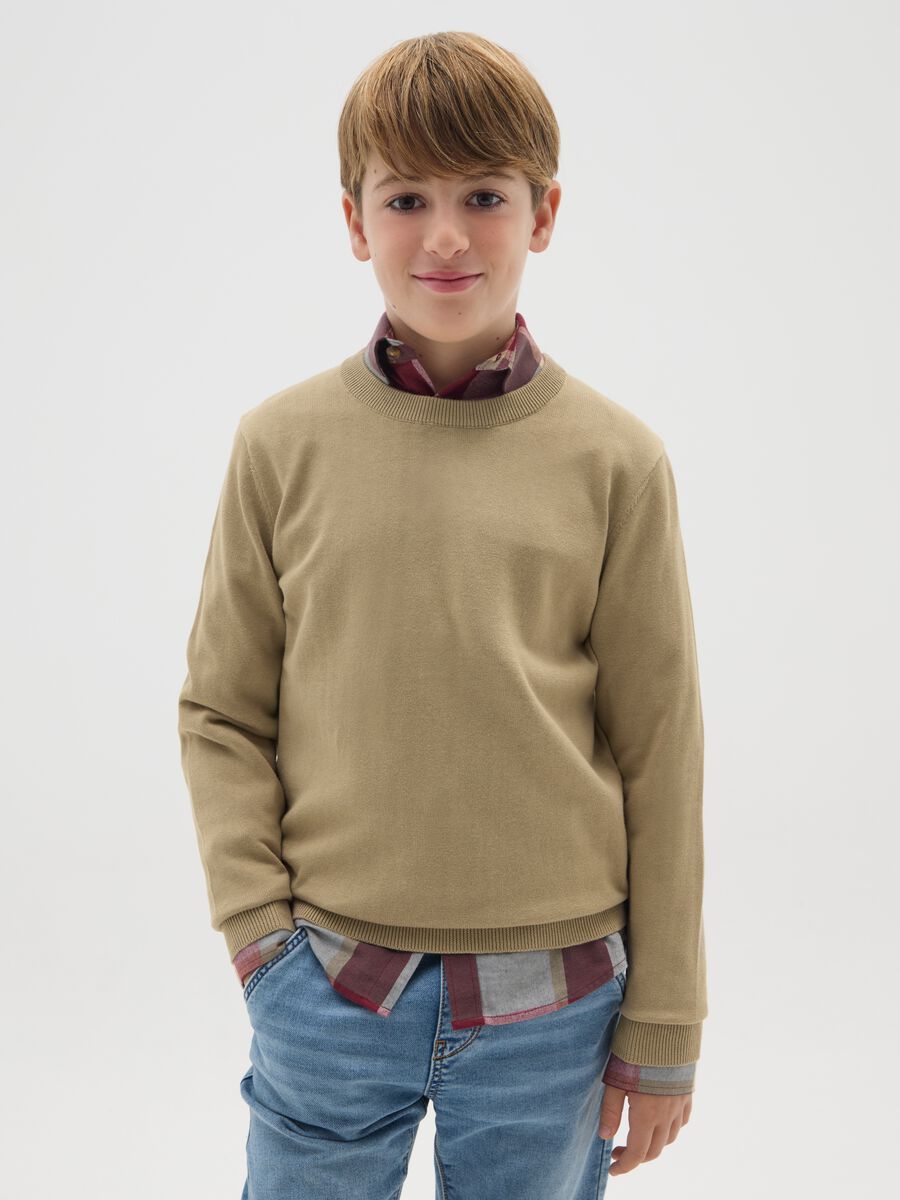Boys' Pure Cotton Beige Sweater - Regular Fit_0