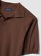 Short-sleeved brown polo shirt in pure cotton_5