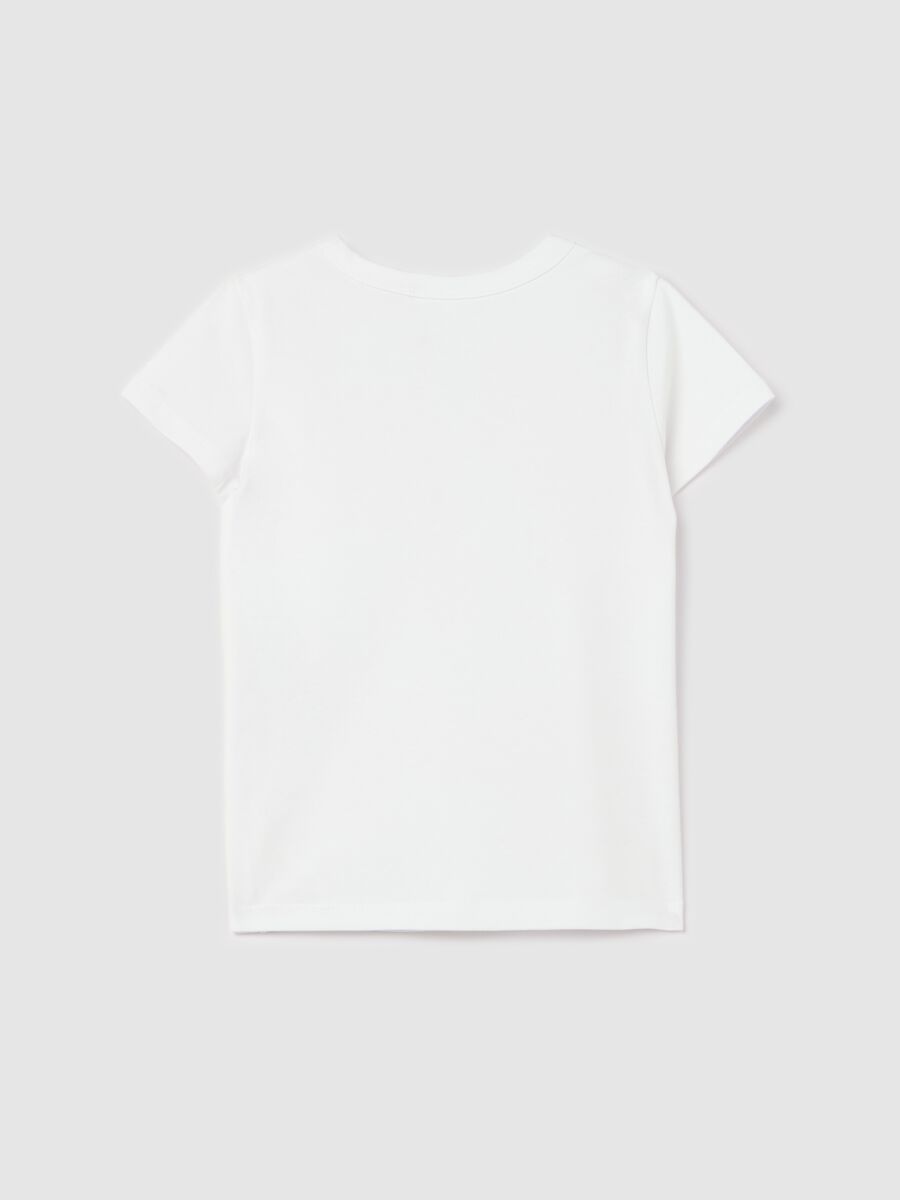 Organic cotton T-shirt_1