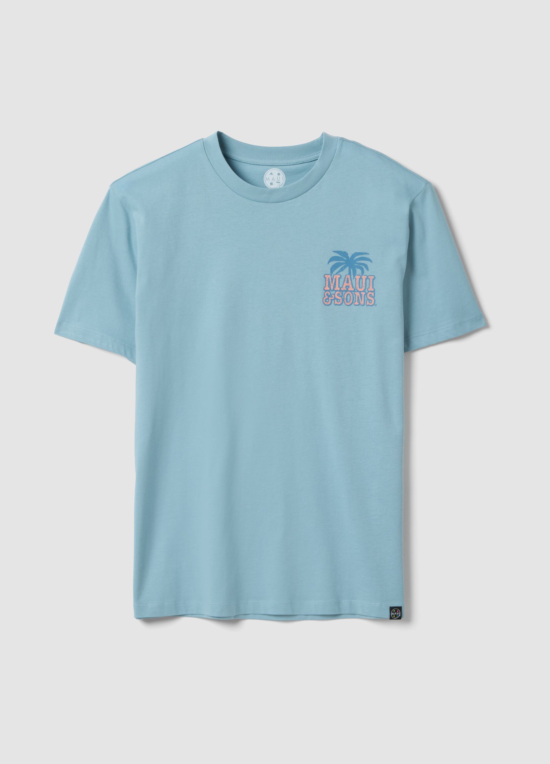 Blue short-sleeve pure cotton T-shirt with print, relaxed fit