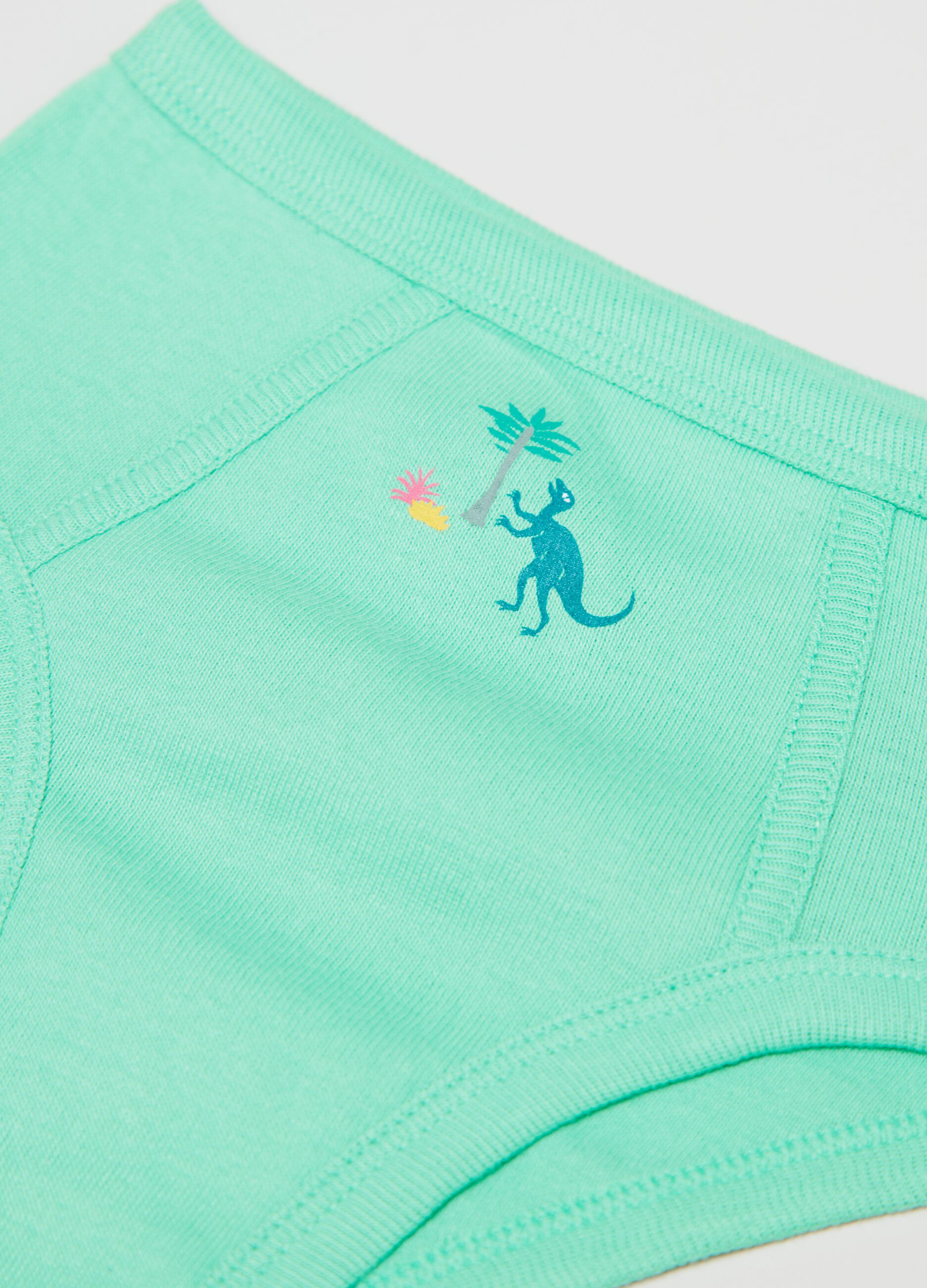 Set cinque slip stampa dinosauri_1