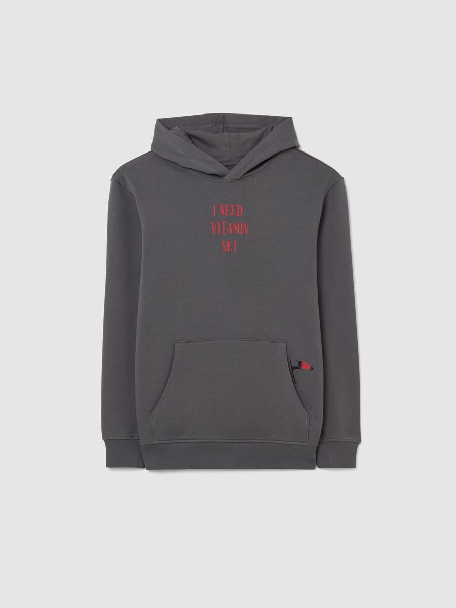 Boys' Gray Hooded Sweatshirt in Pure Cotton Regular Fit_3