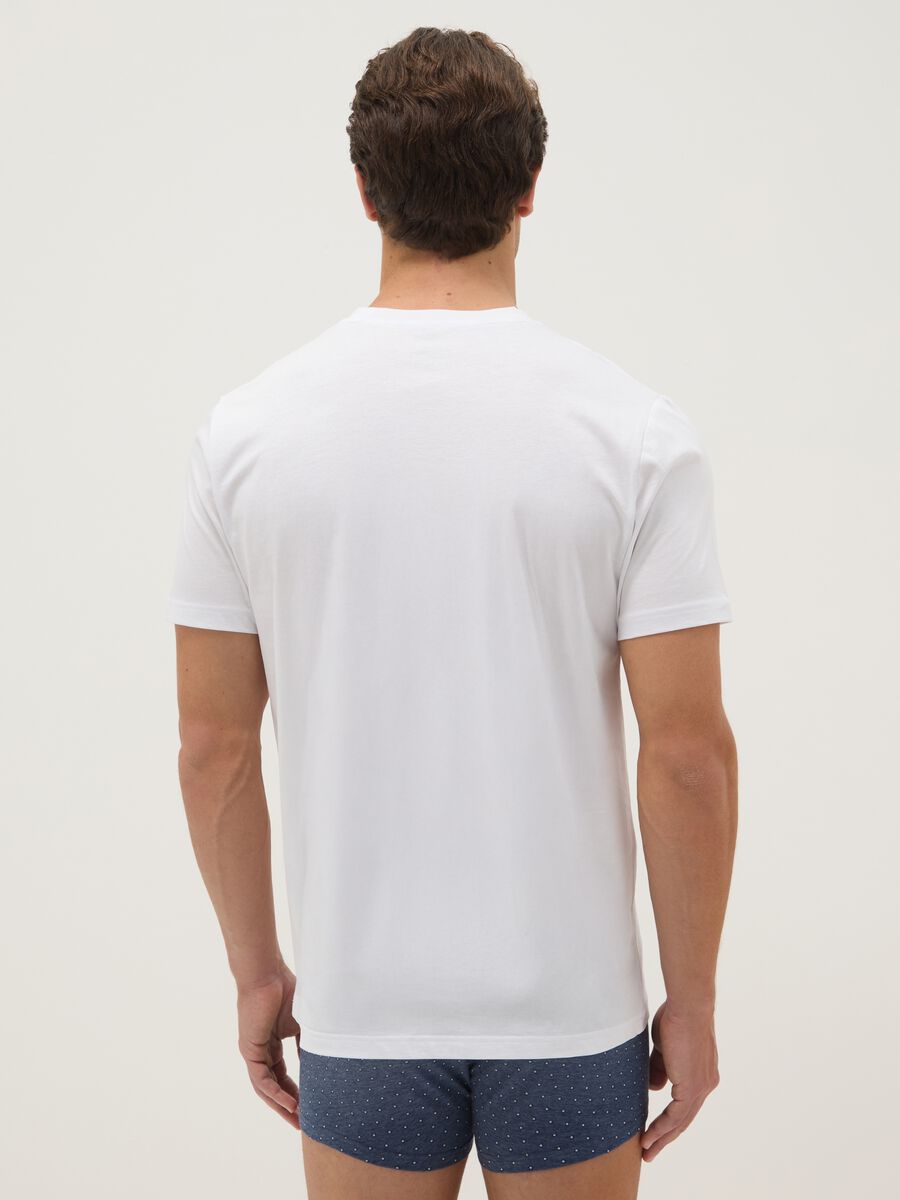 White pure cotton regular fit t-shirt_2