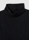 Black Regular Fit Turtleneck Jumper_5