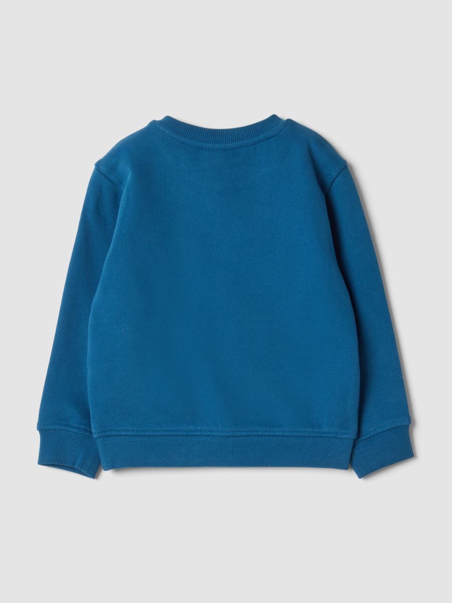 Felpa blu girocollo in puro cotone organico_1