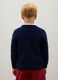 Children's Blue Pure Cotton Jumper, Regular Fit_1