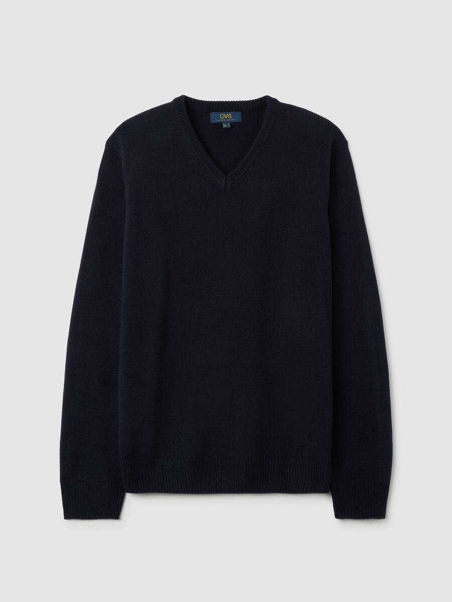 Blue V-neck Sweater_0