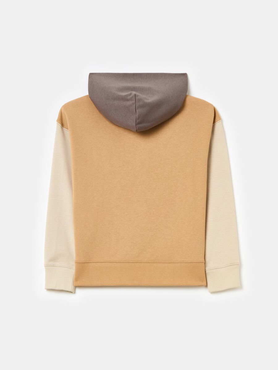 Colour block hoodie with embroidered logo_1
