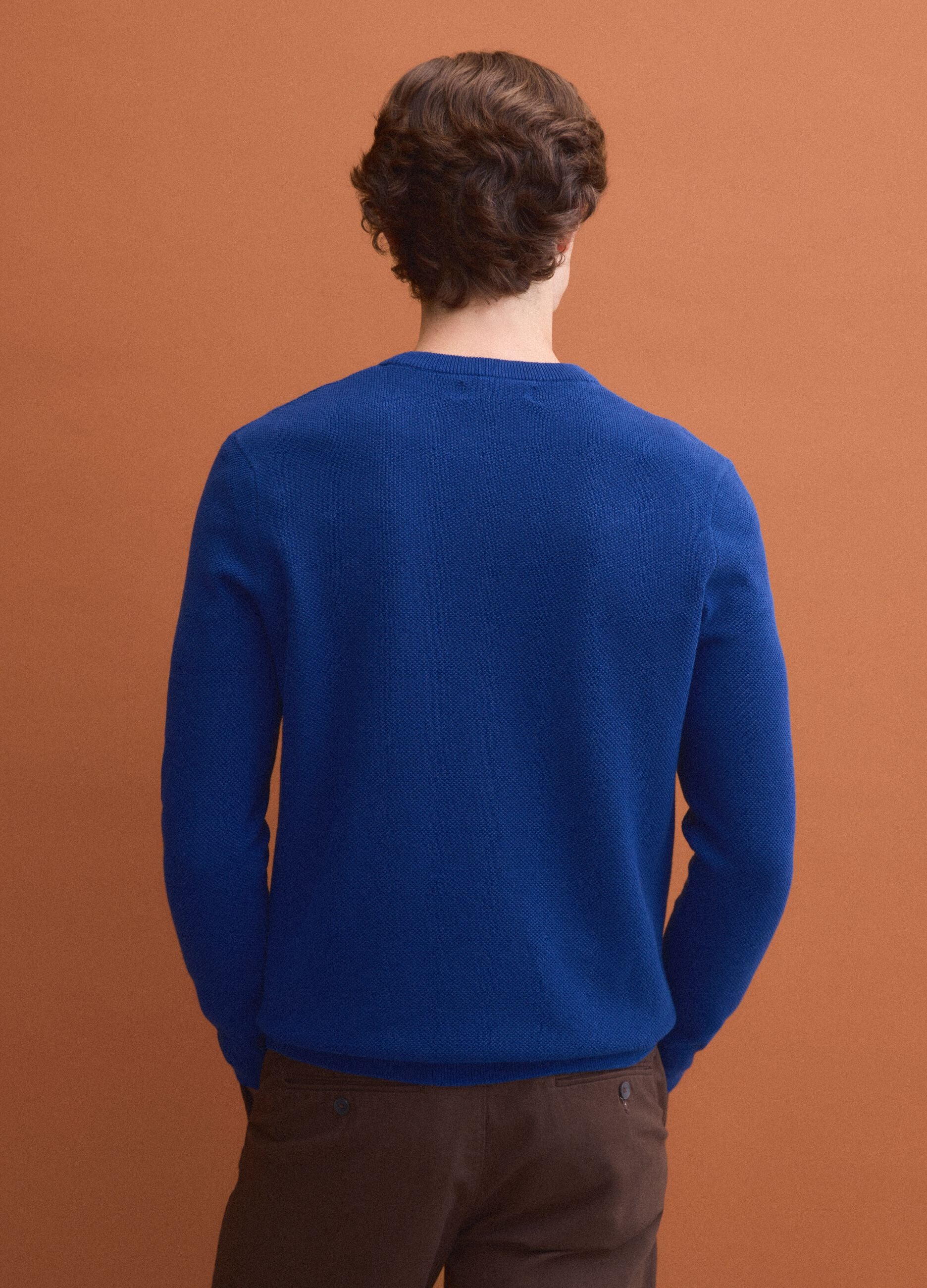 Blue pure cotton crew-neck jumper, regular fit