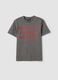 Grey pure cotton T-shirt with &ldquo;The Devil Wears Prada&rdquo; print, oversized fit_4
