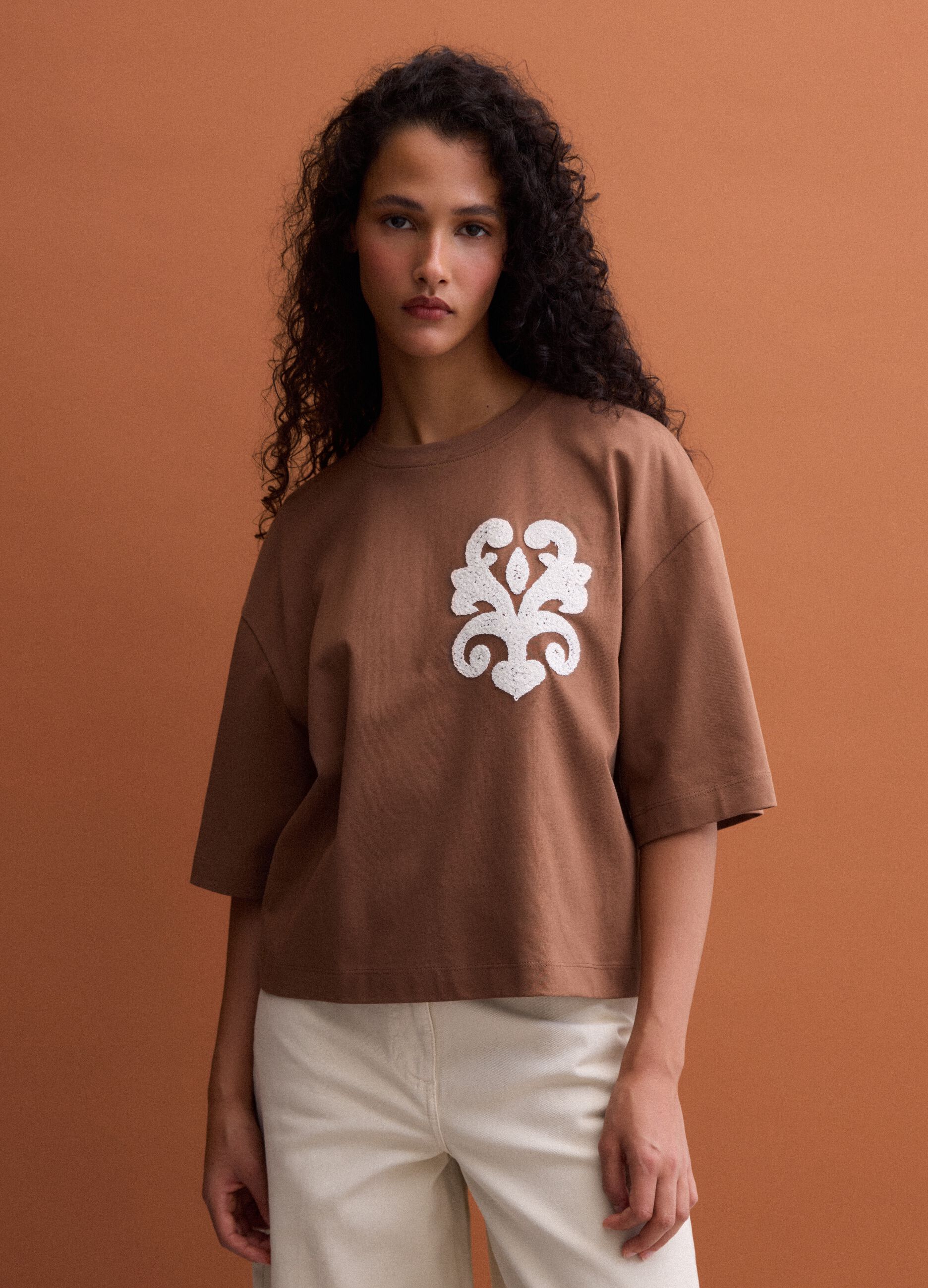 Brown pure cotton T-shirt with embroidery, regular fit