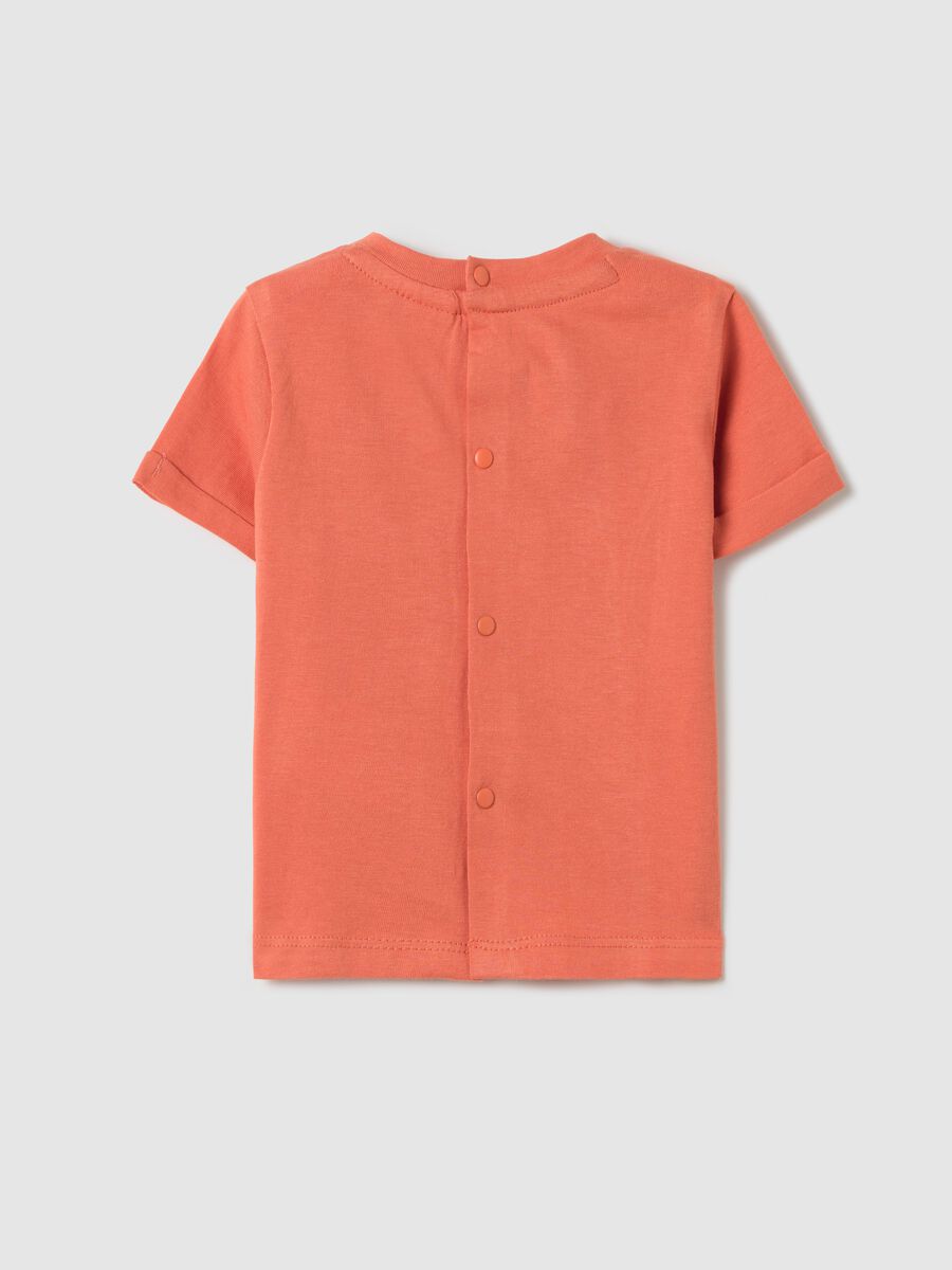 Orange T-shirt with Bugs Bunny embroidery in organic cotton_1