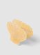 Yellow shell-shaped hair clip_2