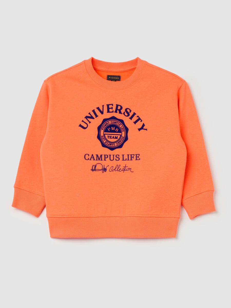 French Terry sweatshirt with college design print_3