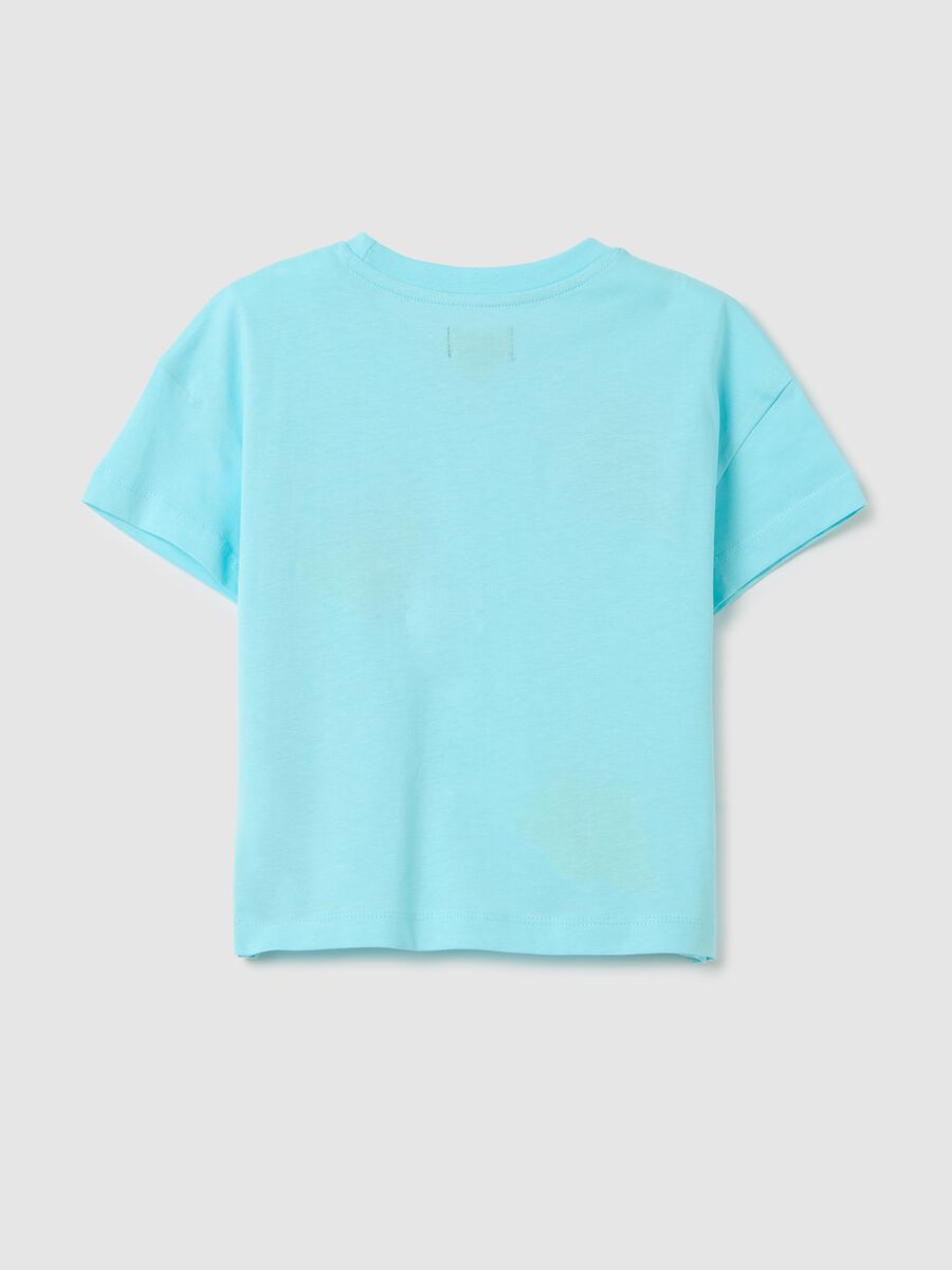 Boxy fit light blue T-shirt with embroidered flowers_1