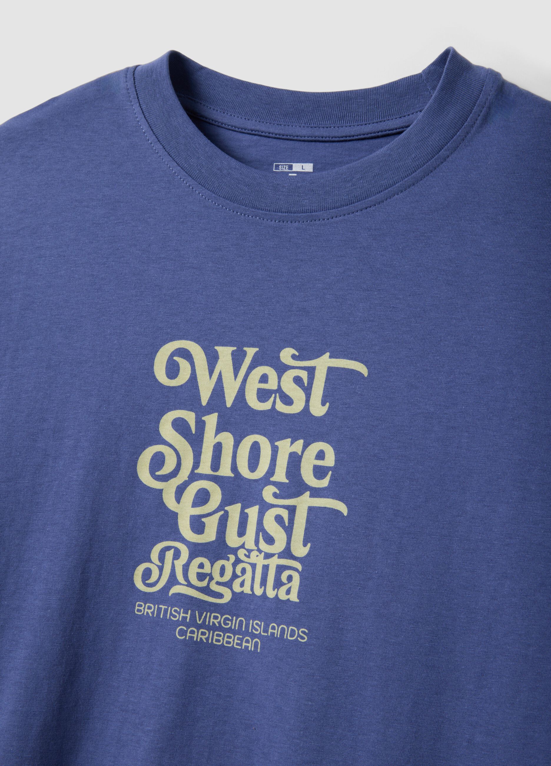 Blue short-sleeve pure cotton T-shirt with print