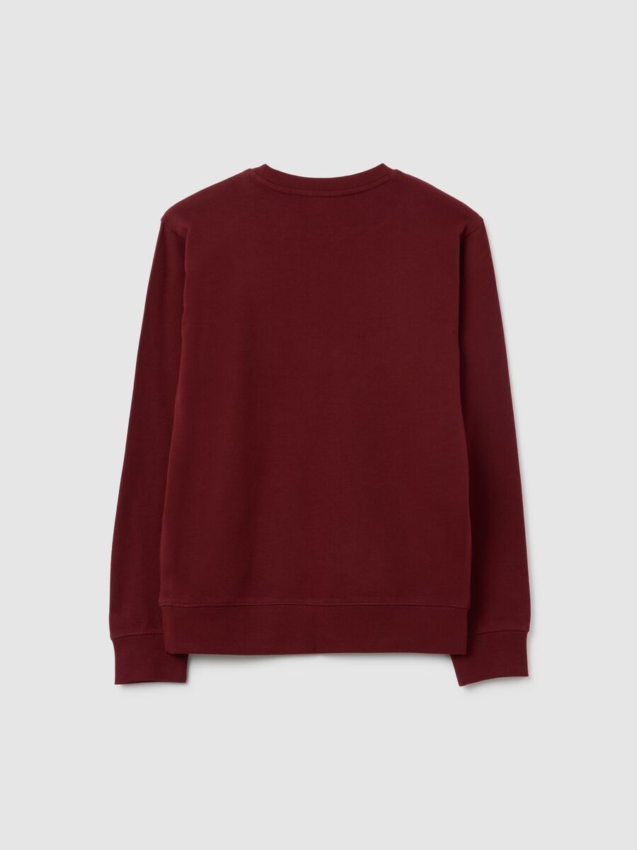 Felpa da ragazzo in puro cotone rosso regular fit_1