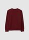 Boys' Regular Fit Pure Cotton Red Sweatshirt_1