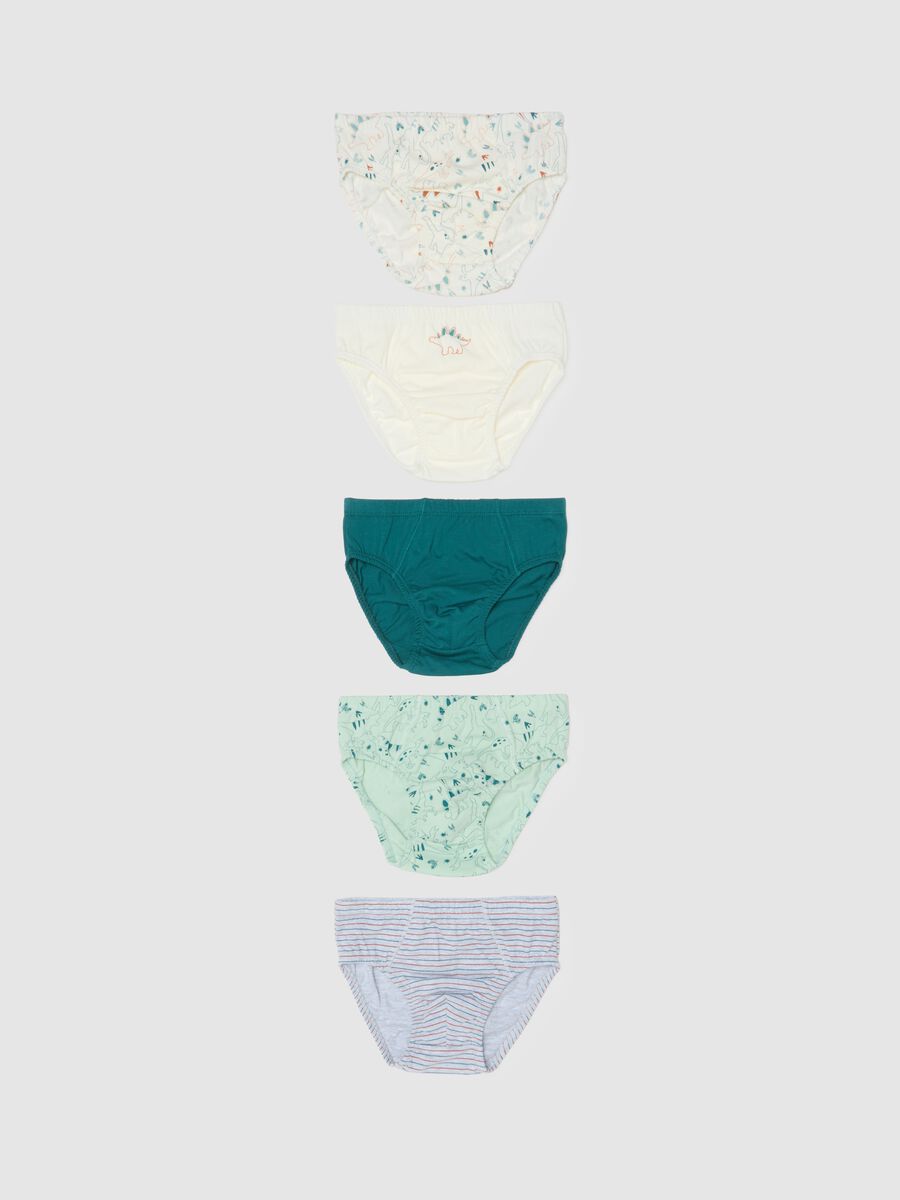 Multipack set of children's multicolour regular fit cotton briefs_0