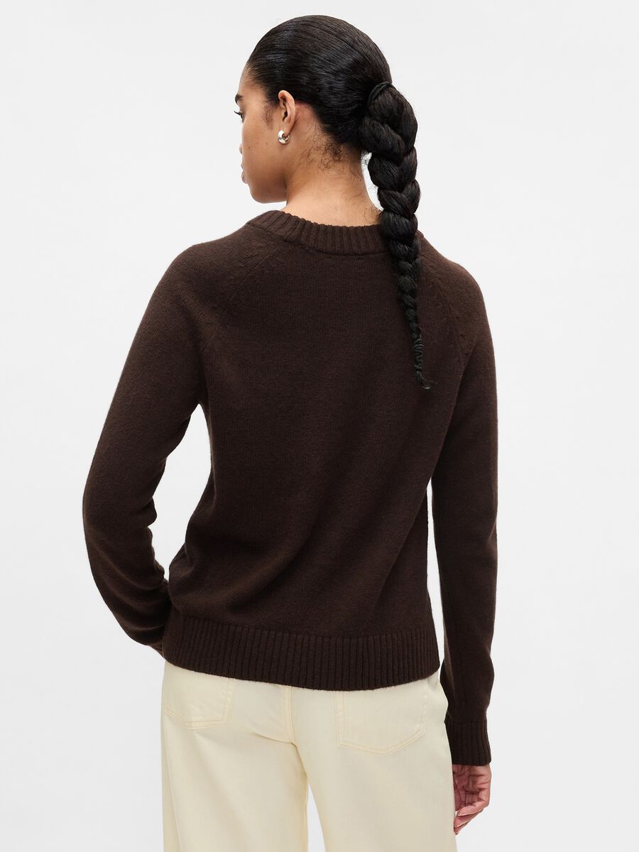 Pullover with round neck and raglan sleeves_1