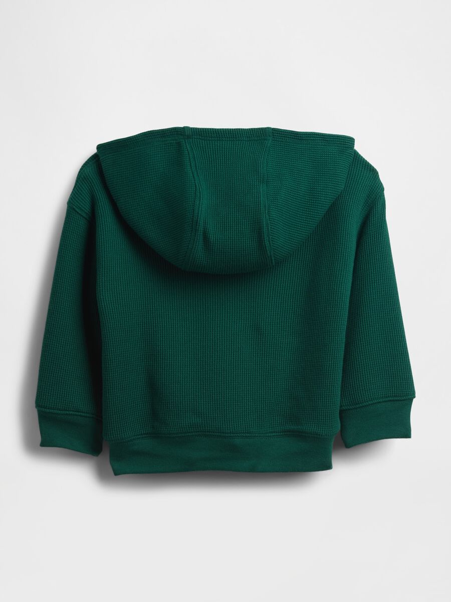 Full Zip Green Hoodie_1
