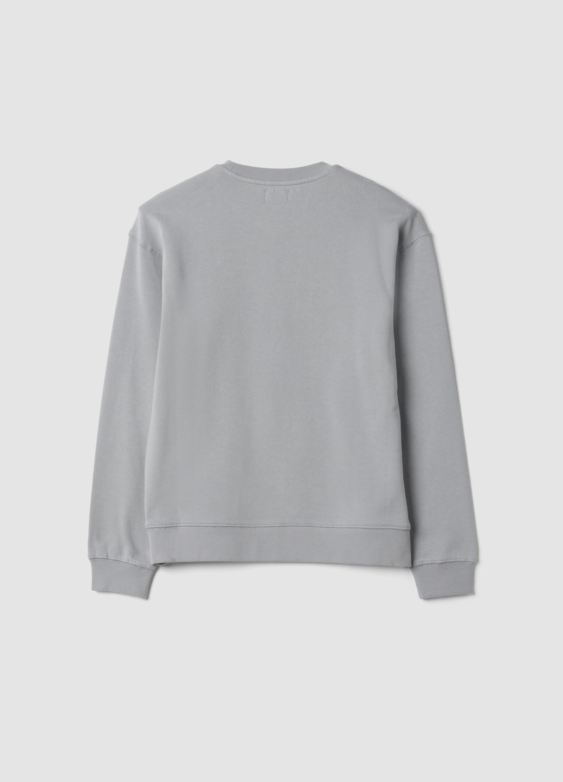Felpa grigia girocollo in puro cotone organico a tema racing relaxed fit