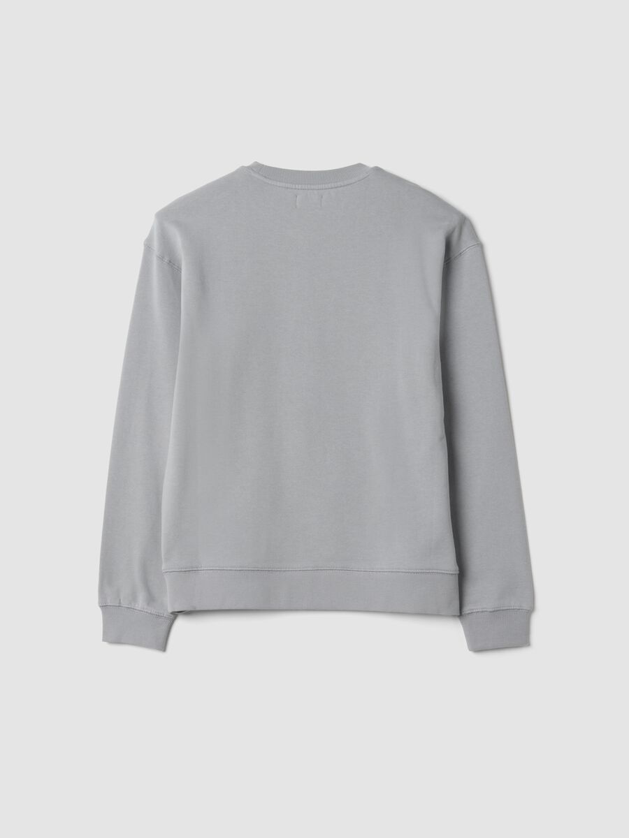 Felpa grigia girocollo in puro cotone organico a tema racing relaxed fit_1