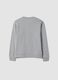 Felpa grigia girocollo in puro cotone organico a tema racing relaxed fit_1