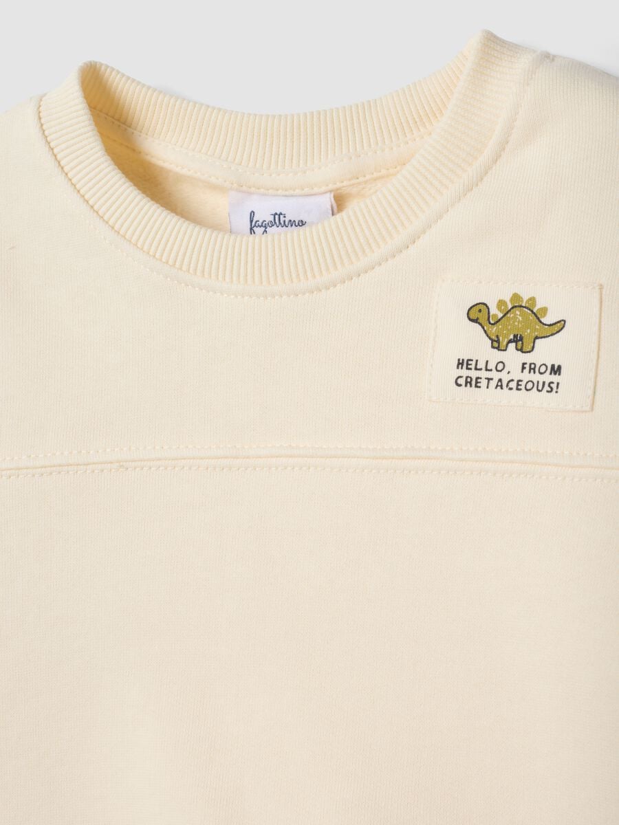 Felpa beige girocollo in puro cotone organico_2