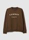 Brown pure cotton sweatshirt regular fit_4