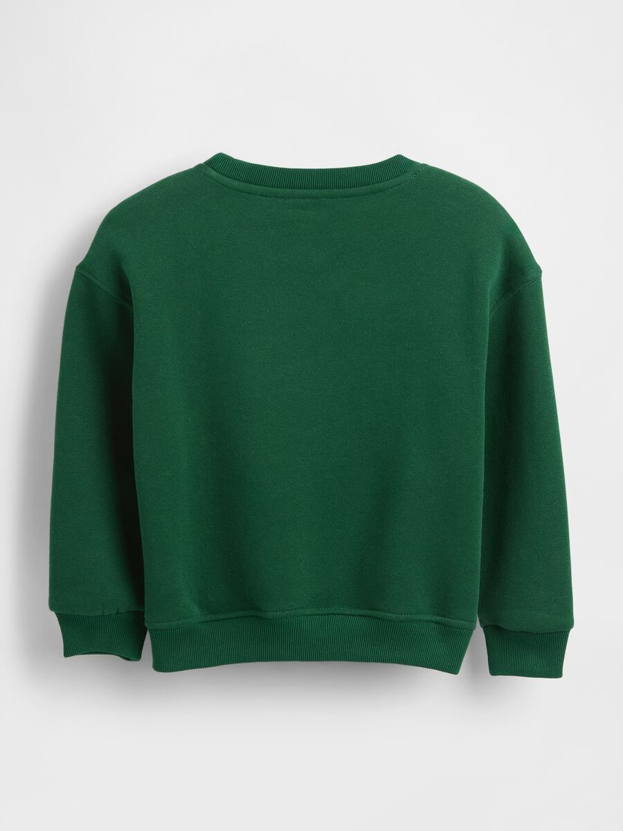 Green cotton sweatshirt with round neck_1