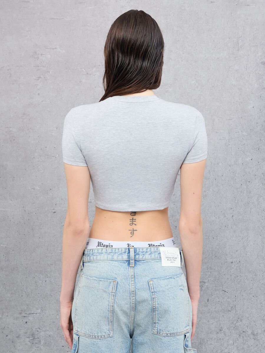 Vintage Grey Crop T-shirt_2