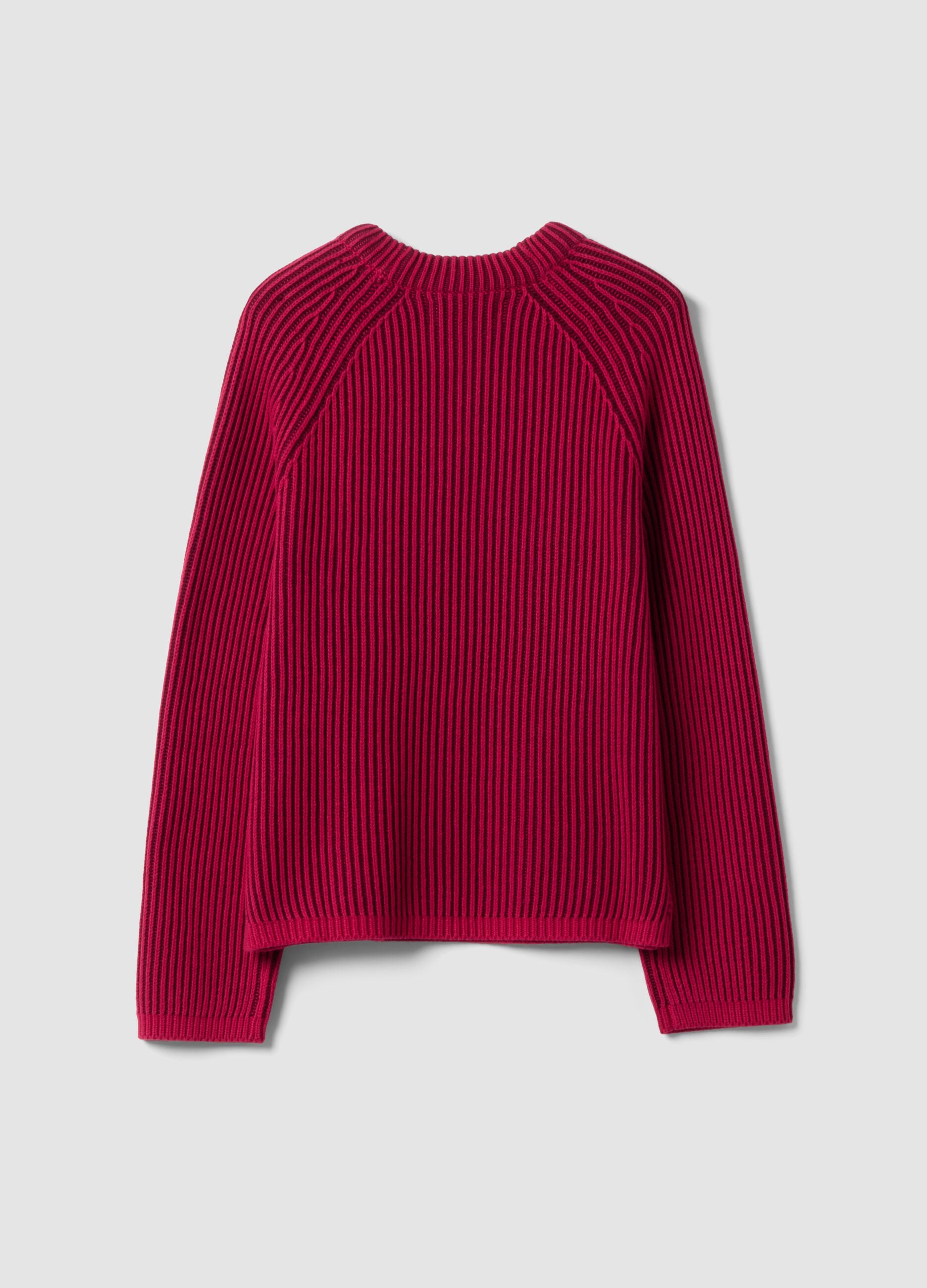 Multicolour pure cotton ribbed crew-neck jumper, regular fit