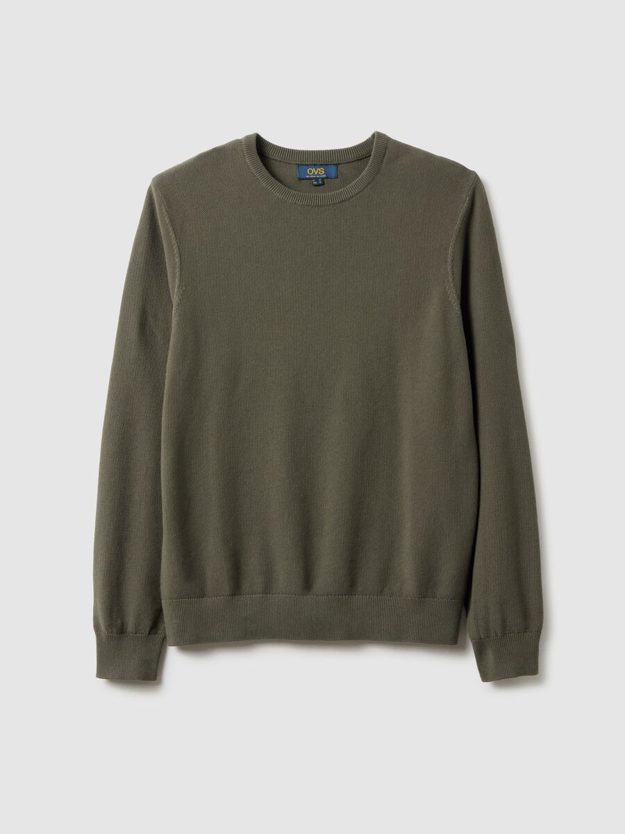 Green Crew Neck Sweater in Pure Cotton Regular Fit_4
