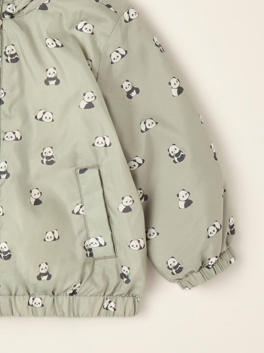 Green padded jacket with hood and panda print_1