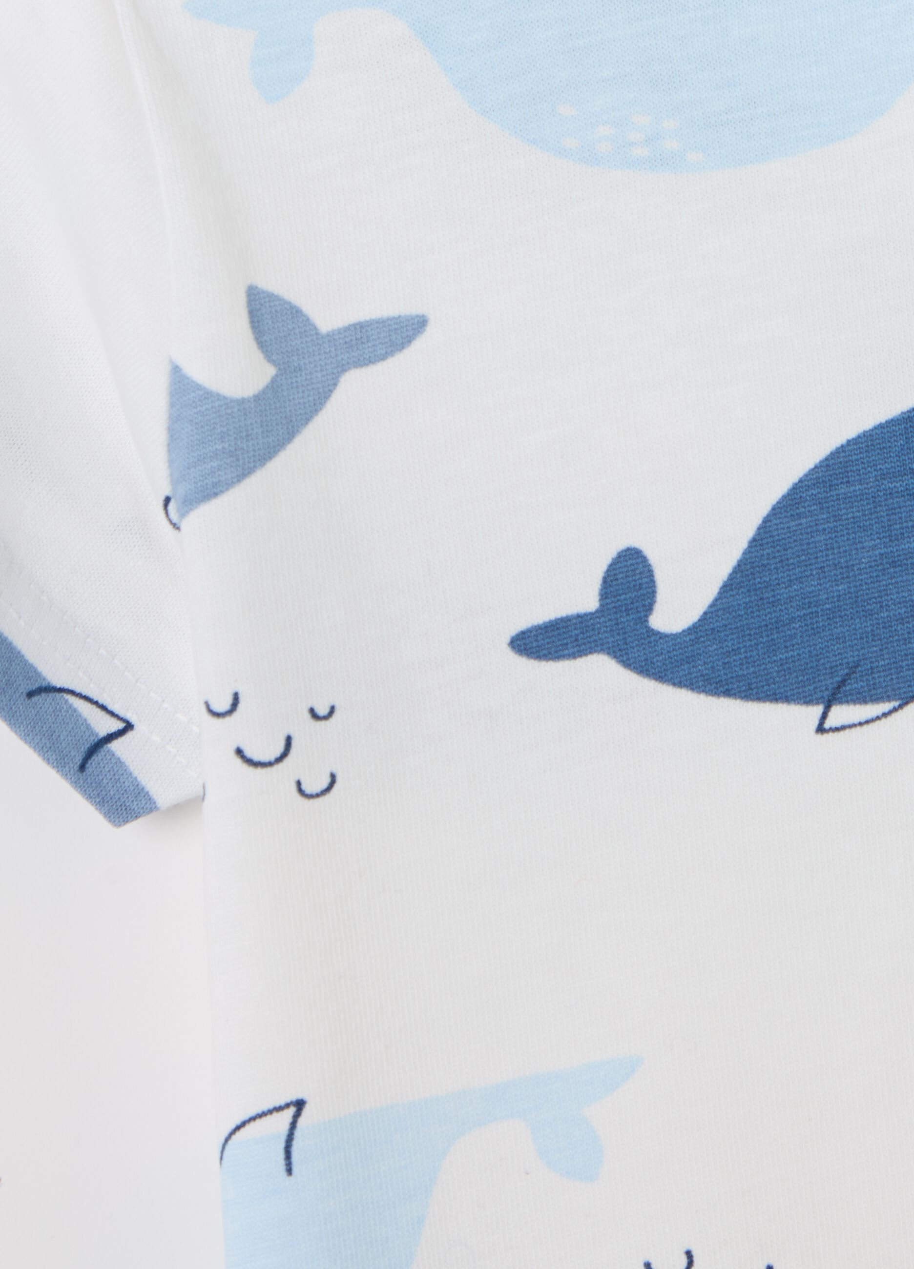 Cotton T-shirt with cetaceans print