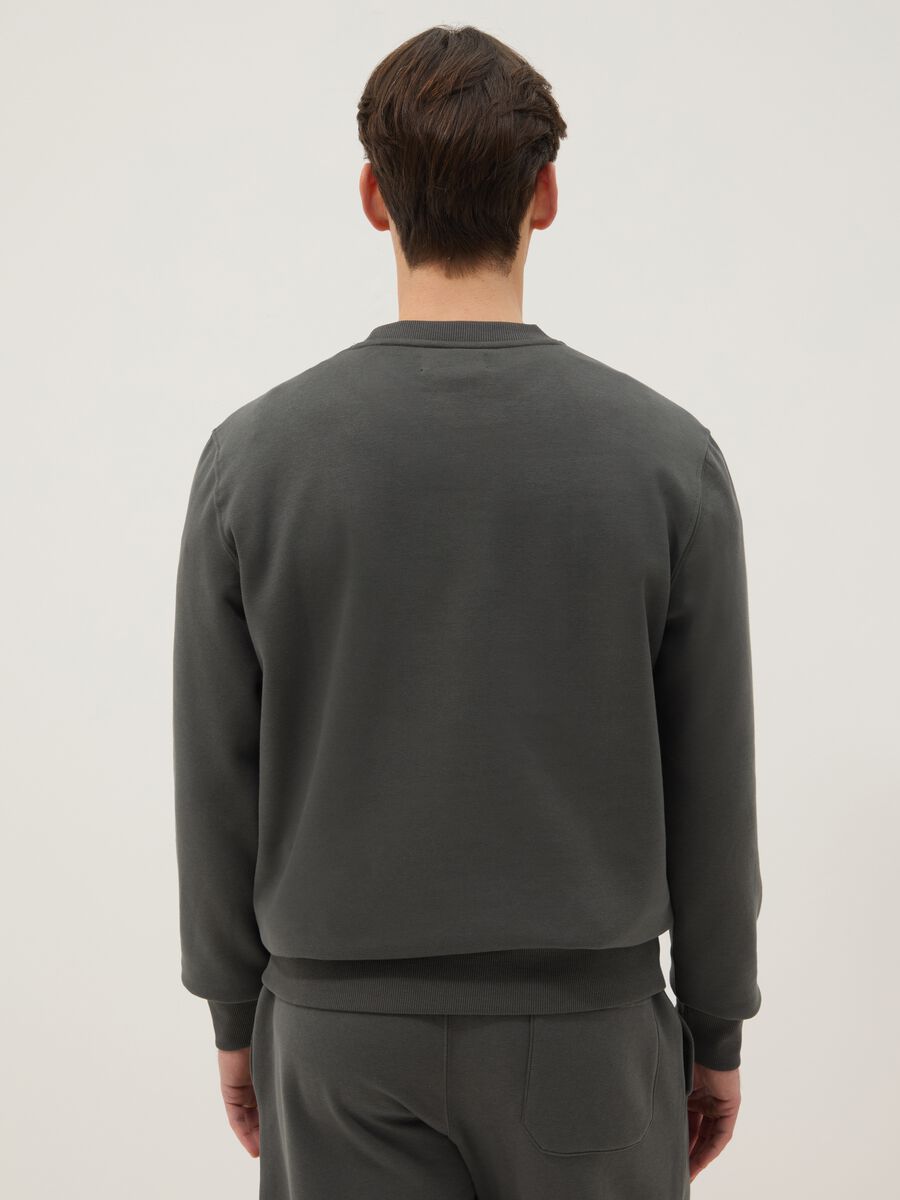 Grey Cotton Blend Crew Neck Sweatshirt Regular Fit_2