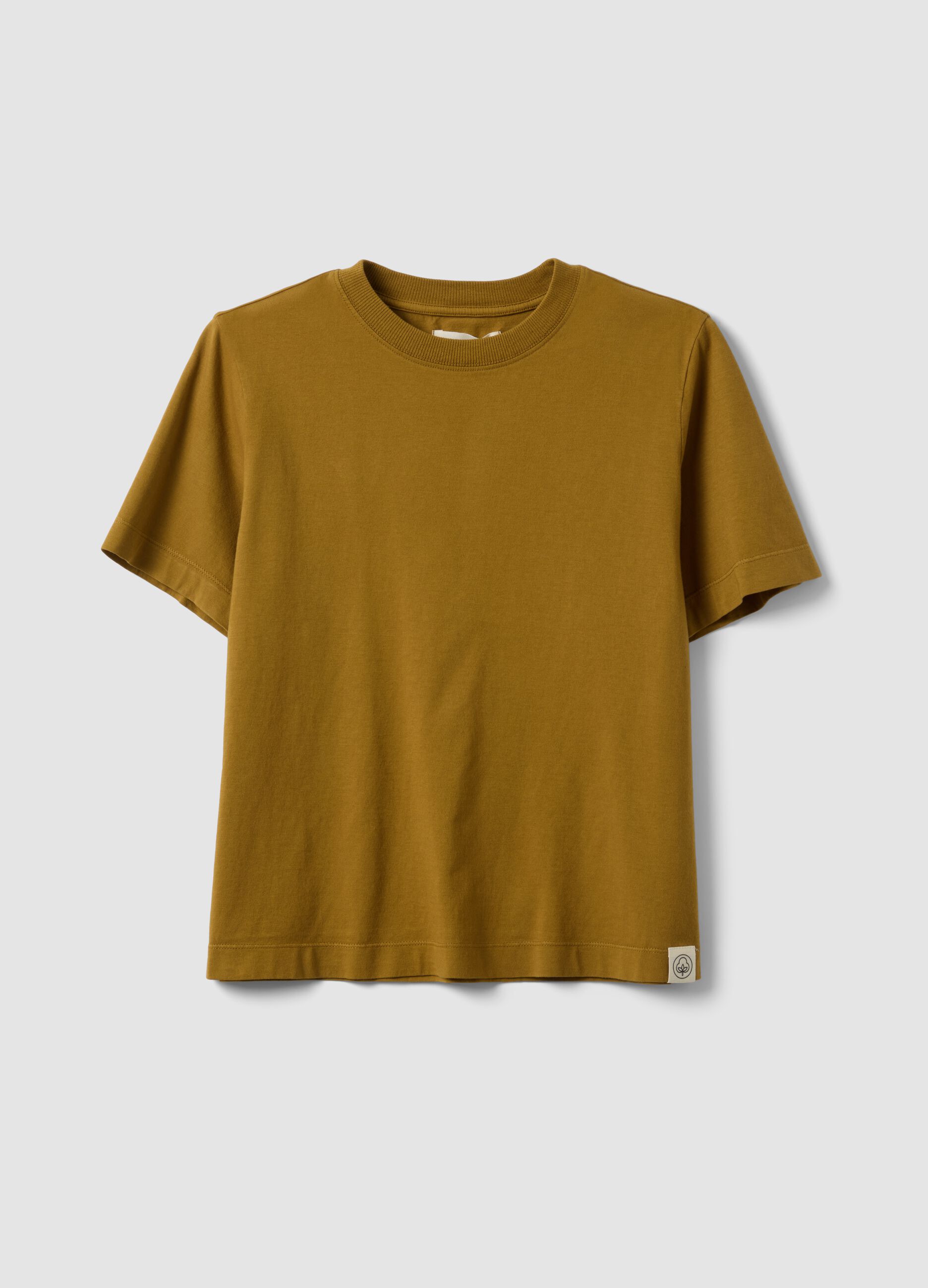 T-shirt marrone a maniche corte in puro cotone regular fit