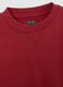 Red regular fit pure cotton children's sweatshirt_2