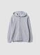 Grey hooded sweatshirt in 100% organic cotton, regular fit, for boys_0