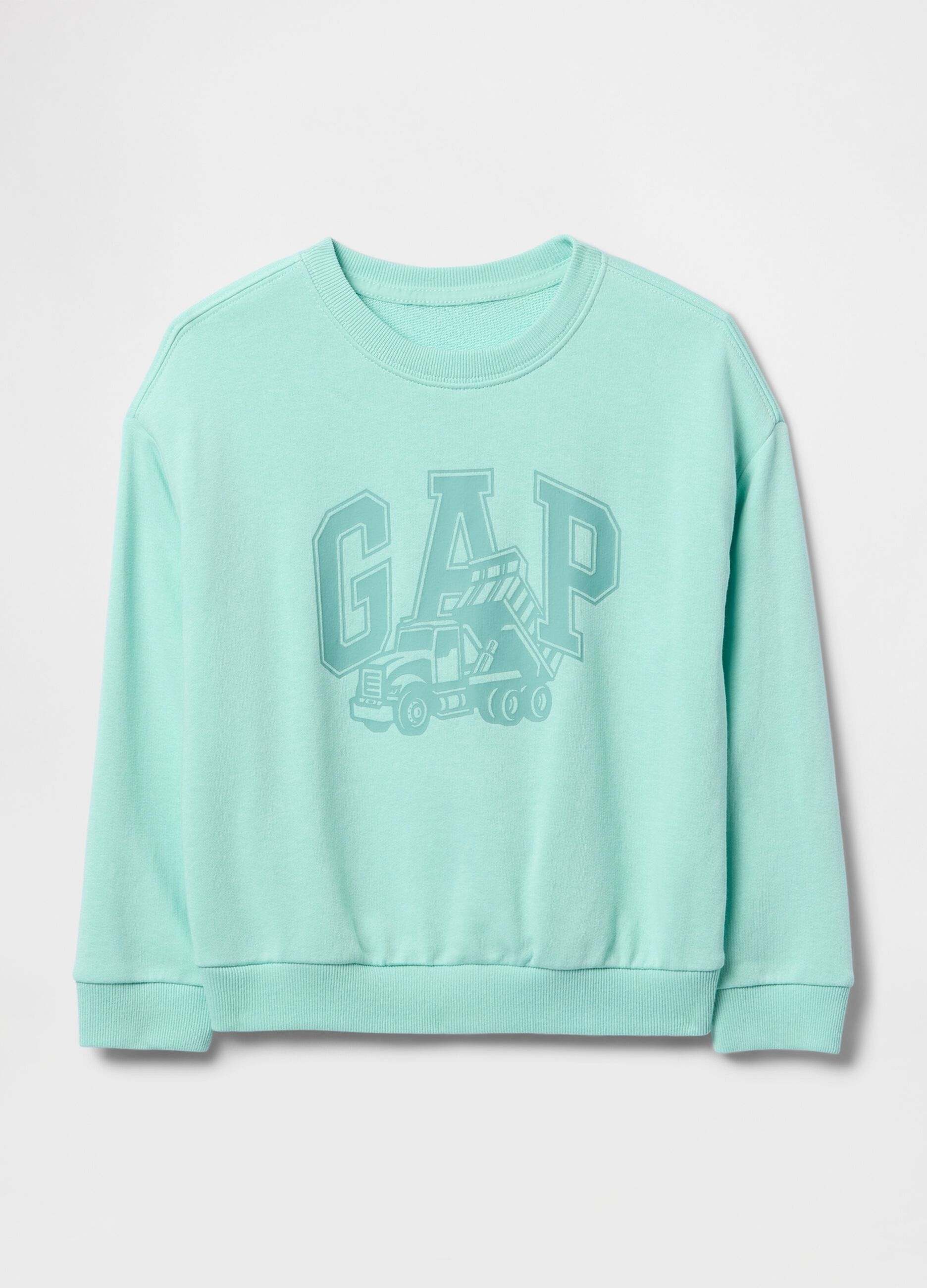 Blue Sweatshirt with GAP Logo