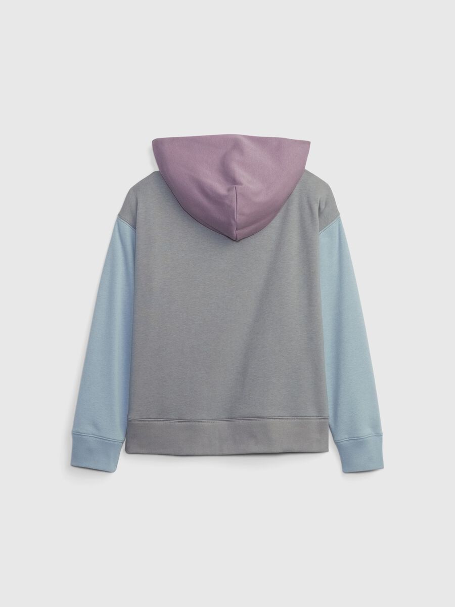 Felpa color-block con cappuccio ricamo logo_1